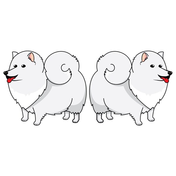 American Eskimo Dog Dog Decal, Dog Lover Decor Vinyl Sticker